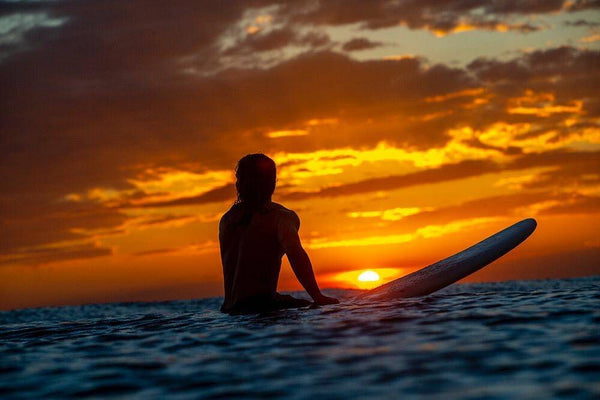 Surf's Up Down Time With Woodsy